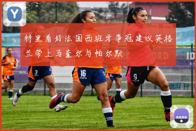 特里看好法国西班牙争冠建议英格兰带上马奎尔与帕尔默