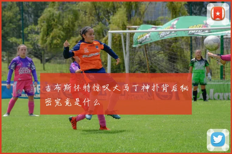 吉布斯怀特惊叹大马丁神扑背后秘密究竟是什么
